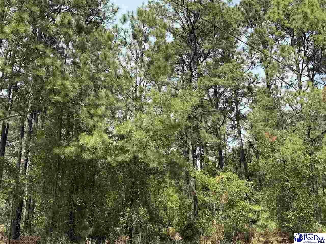 Residential Lot in Dillon, SC