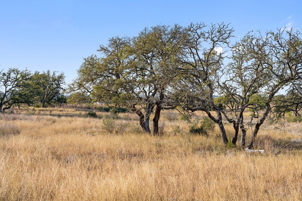 Picture 30