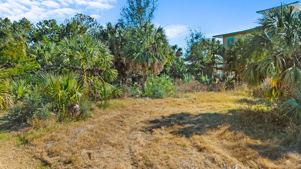 Picture 8