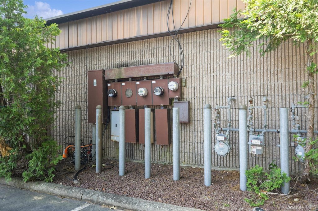 Picture 6