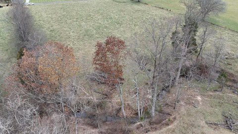 Picture of Land at W Bernard Rd 216, Russell Springs, KY