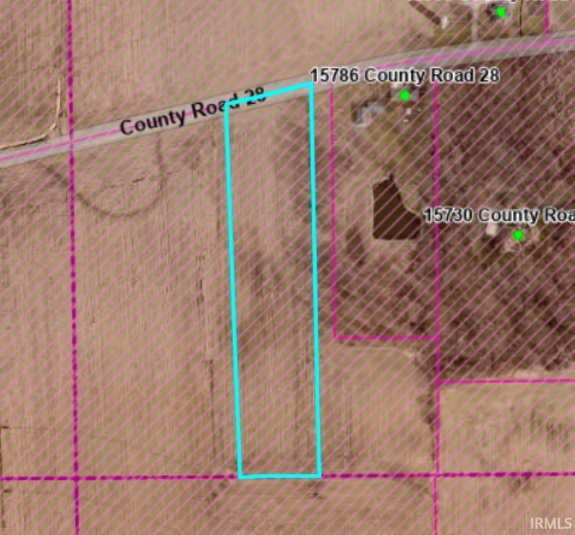 Picture 6