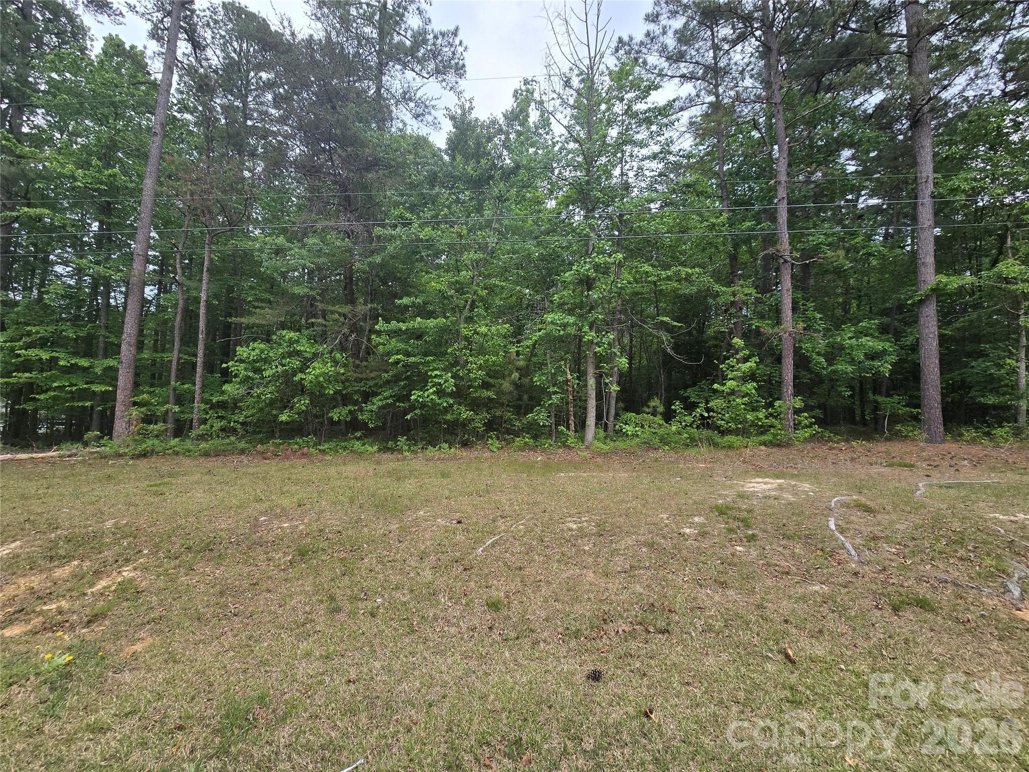 Wooded Lot Near Troy, NC