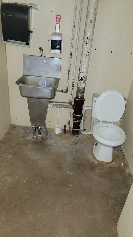 Picture 11