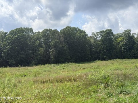 Lots & Acreage, Jamestown, TN