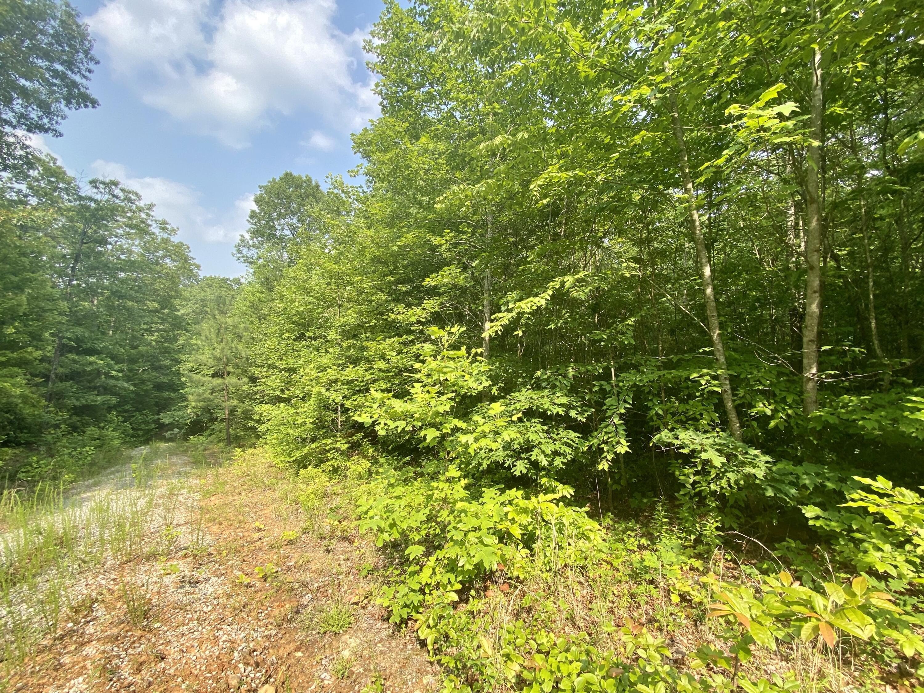 Land in Brush Mountain Farms