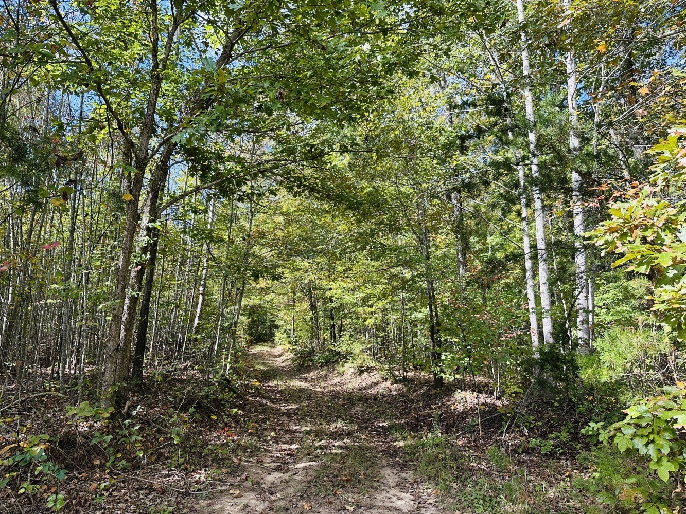 227.8 Acres Recreation/Timber Parcel