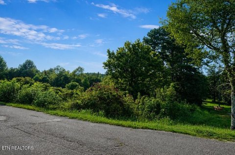 Lots & Acreage, Philadelphia, TN