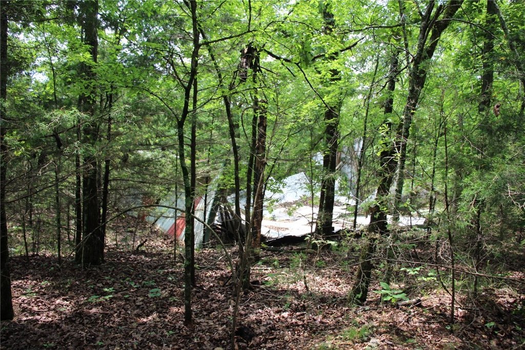 Picture 8