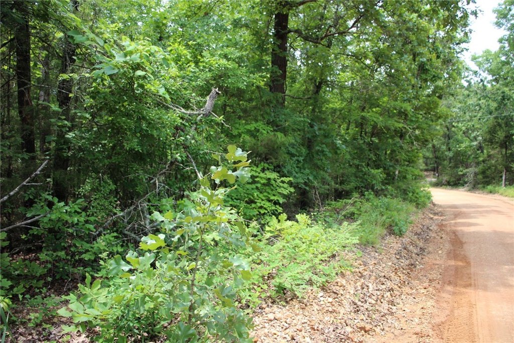 Picture 4