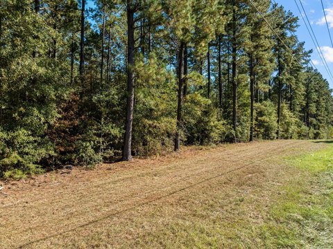 Land, Hattiesburg, MS