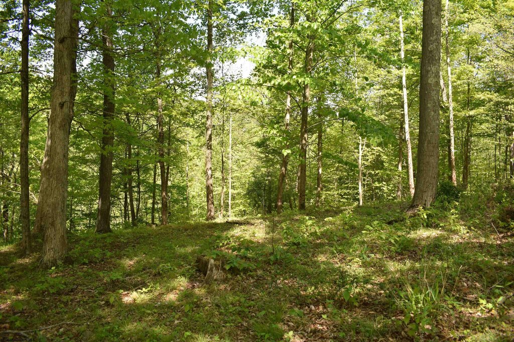 Picture 4