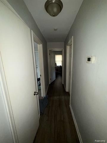 Picture 38