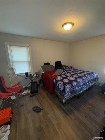Picture 41