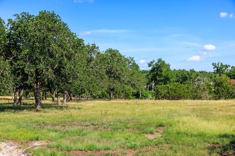 Fredericksburg Land with Post Oaks
