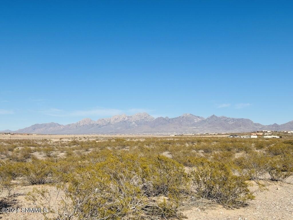 Picture 9