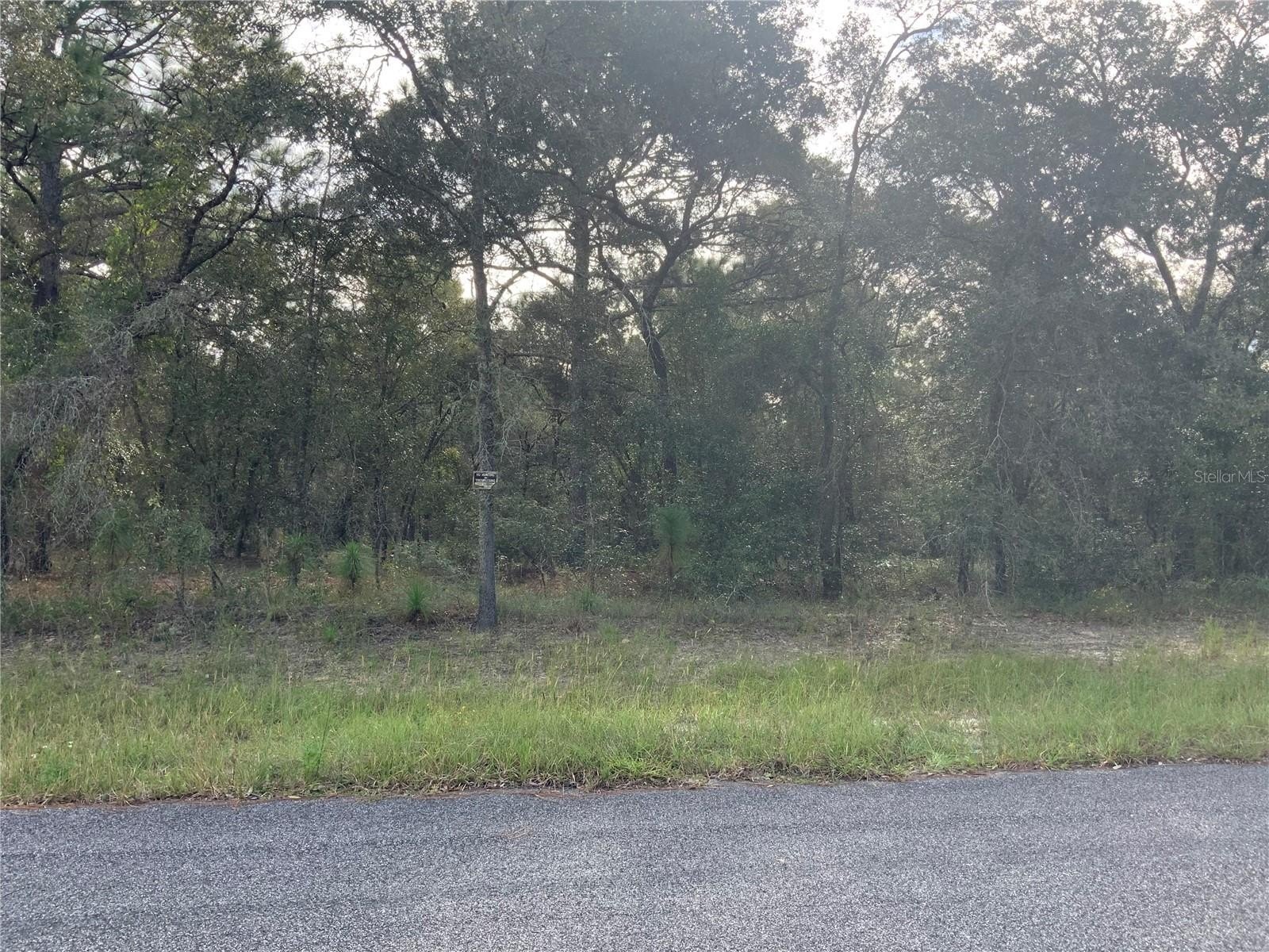 Equine Community Land Opportunity