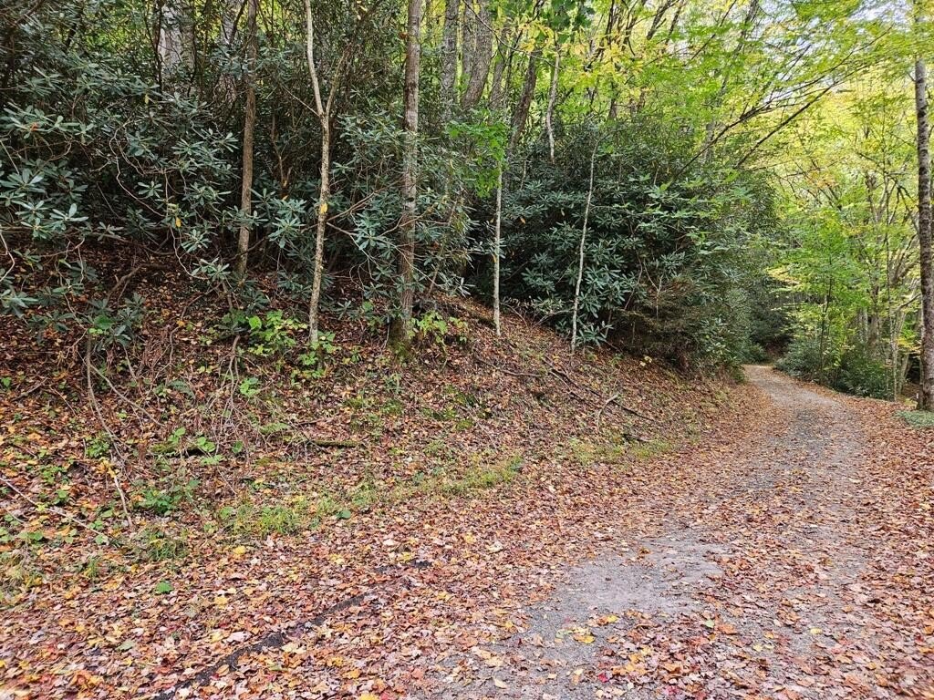 Secluded Recreational Land Near Trails