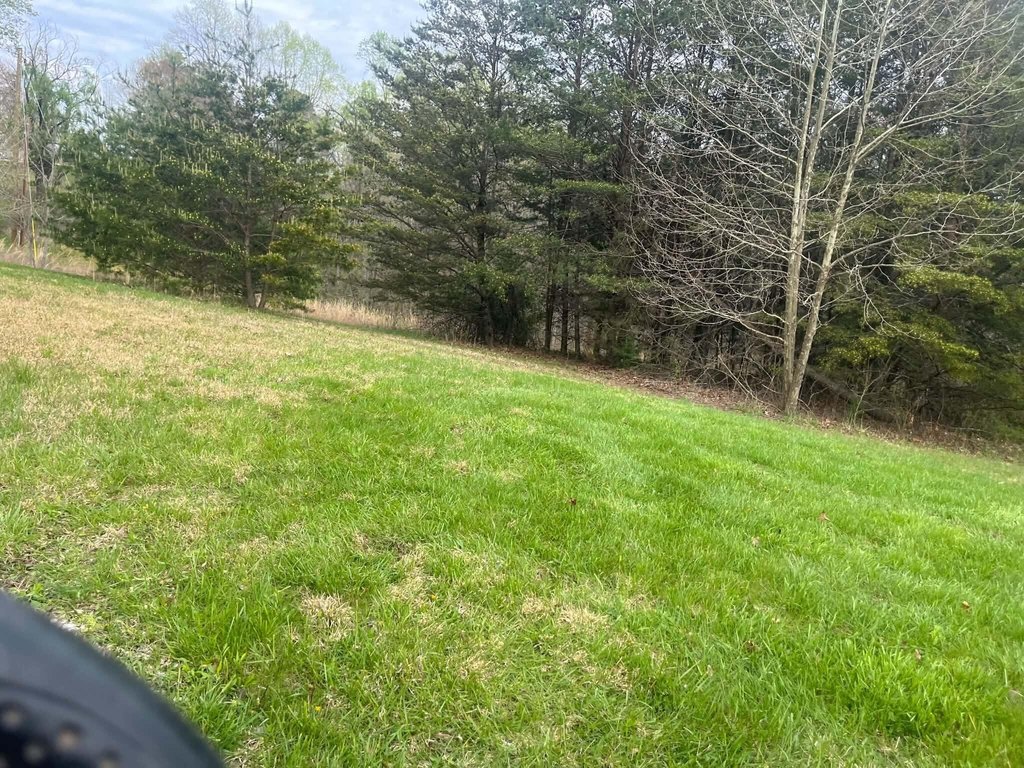 Picture 3