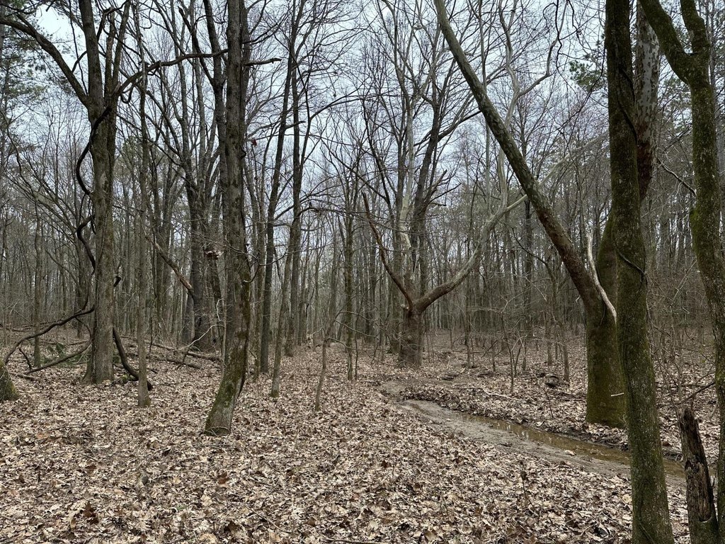 Picture 27