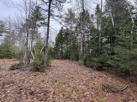 Land, Waltham, ME