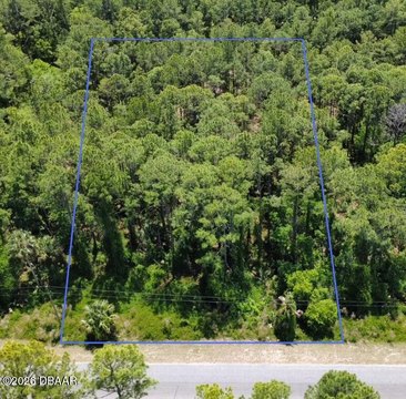 Untouched Acre Lot in Eustis