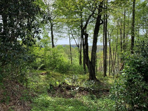 Highlands, NC Land For Sale