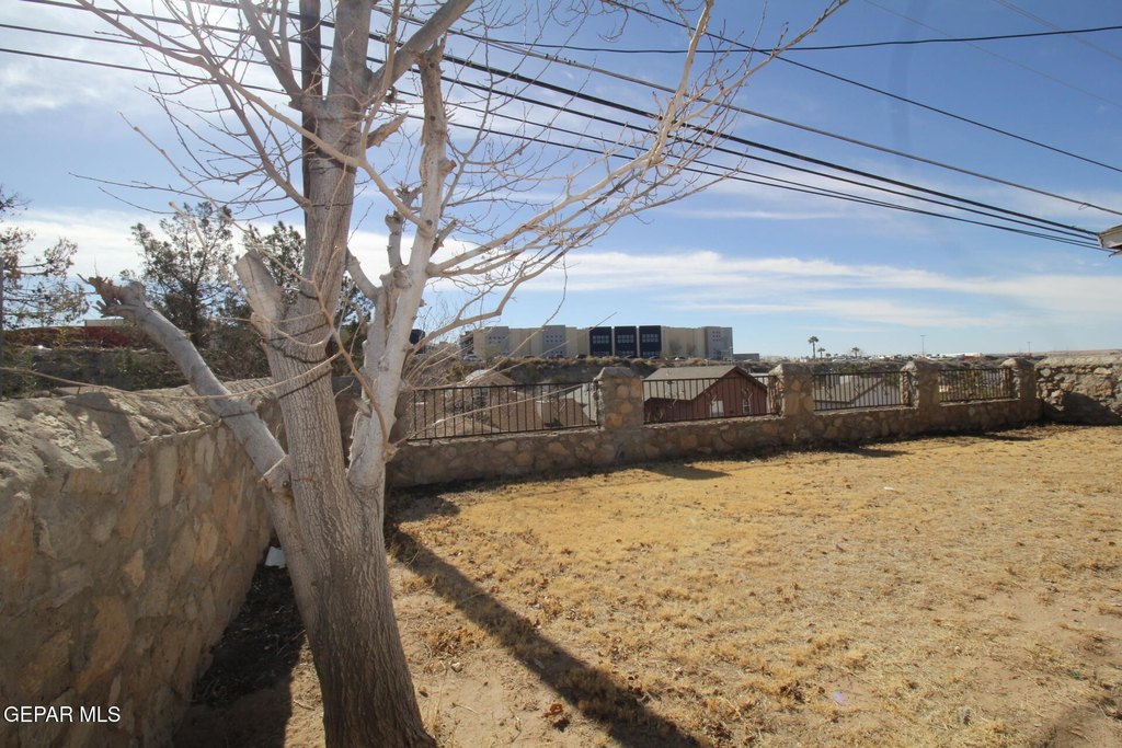Picture 39
