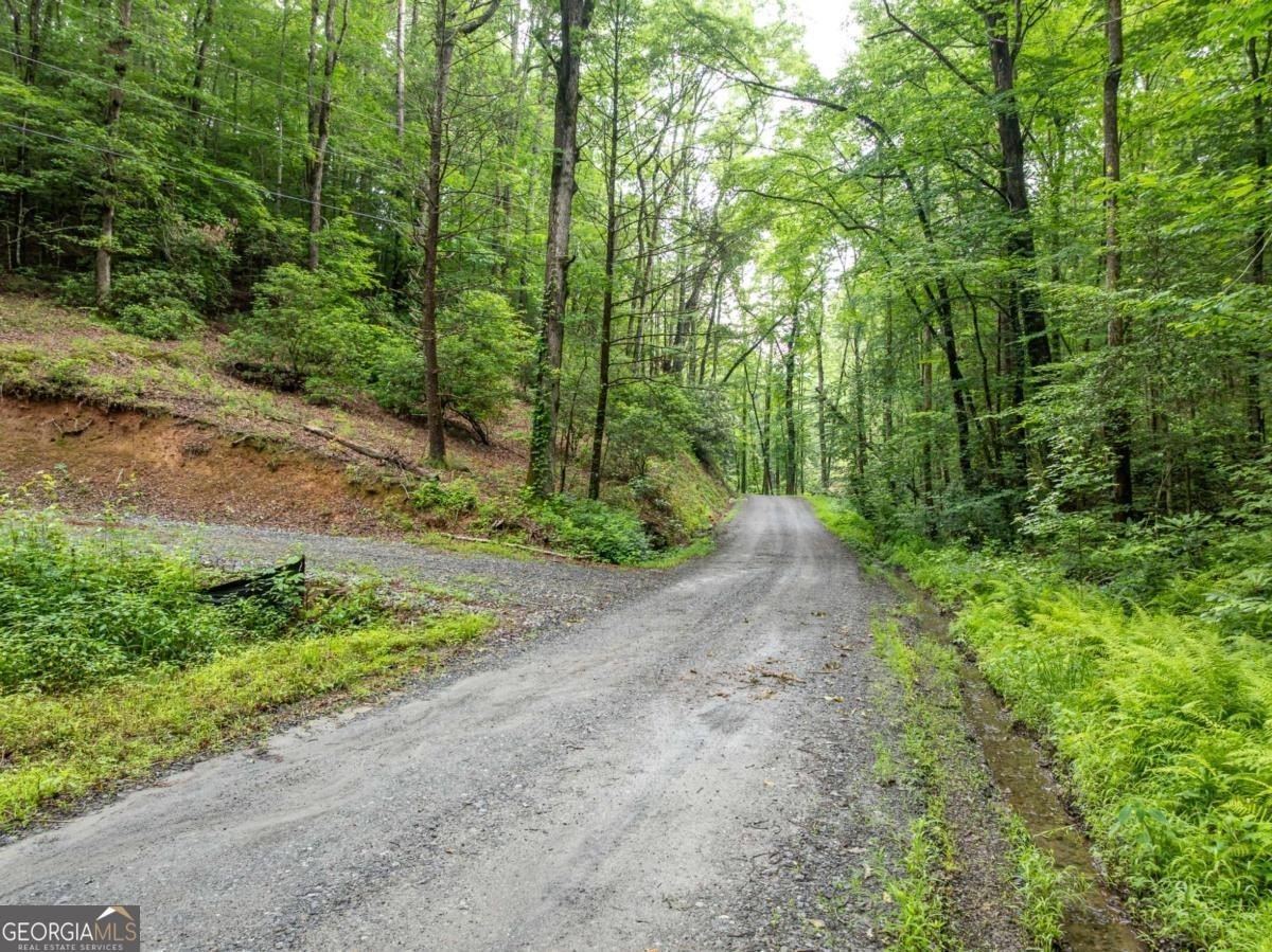 Ellijay Mountain Escape Land