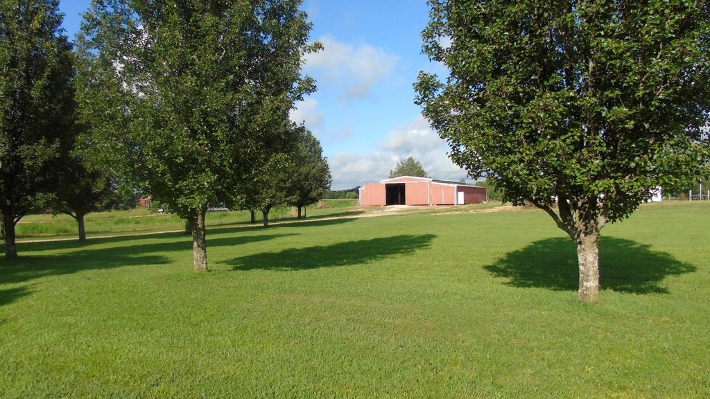 Picture 15