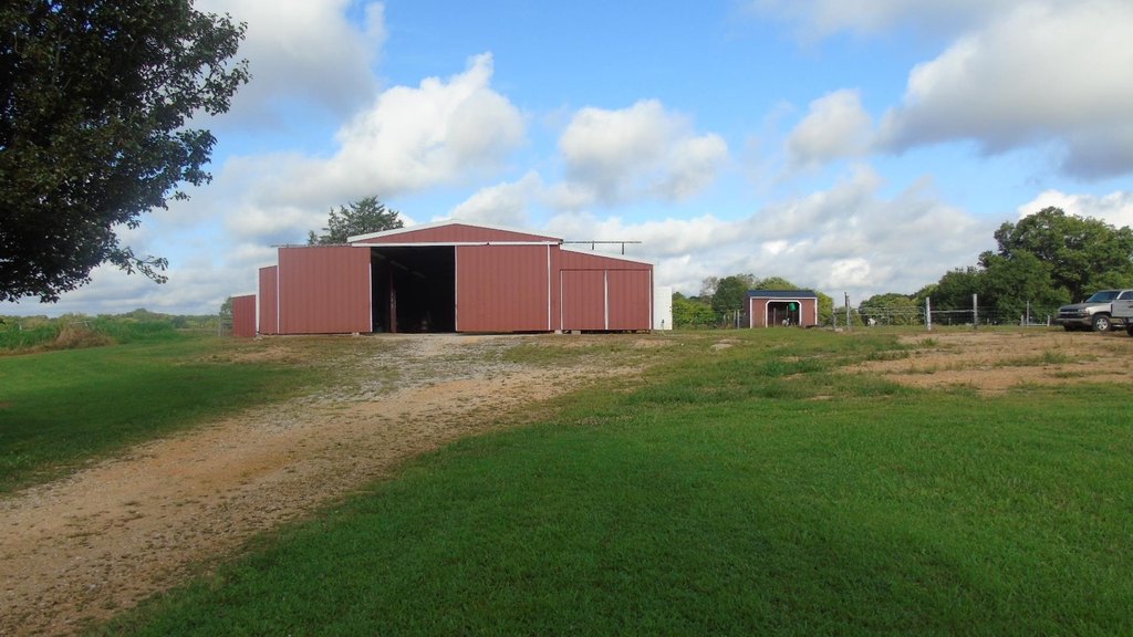 Picture 19