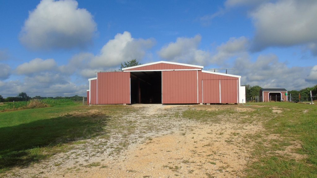 Picture 9