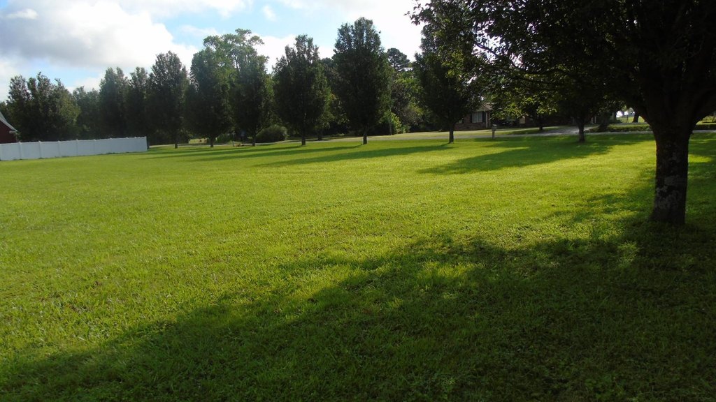 Picture 17