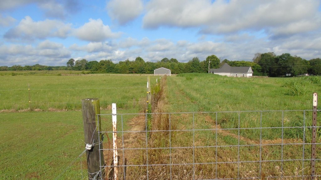 Picture 10