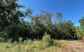 Live Oak Residential Acreage