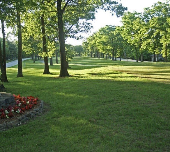Picture 13
