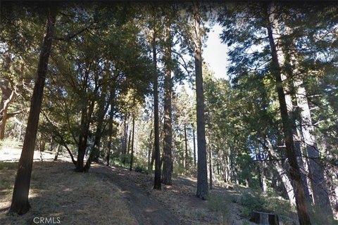 Small Lot Land for Sale