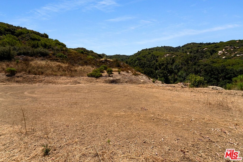 Picture 15