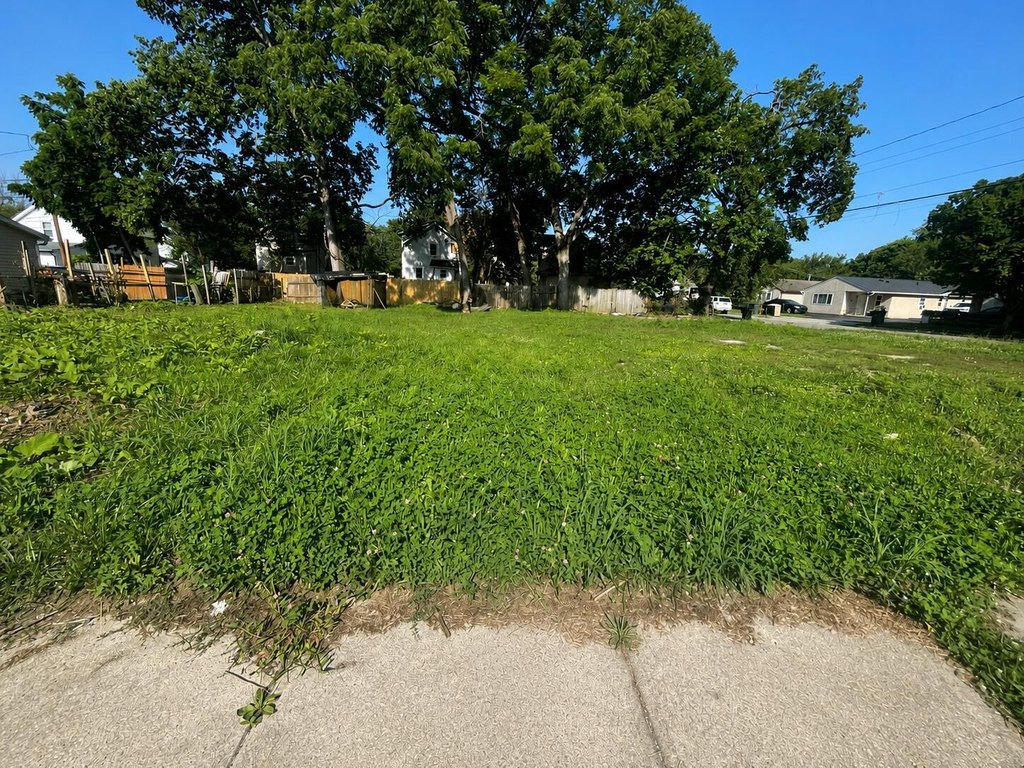 Picture 5
