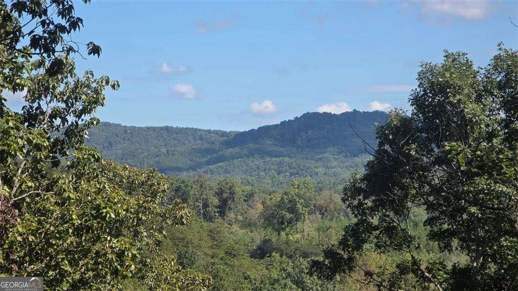 Ranger, GA Mountain-View Land