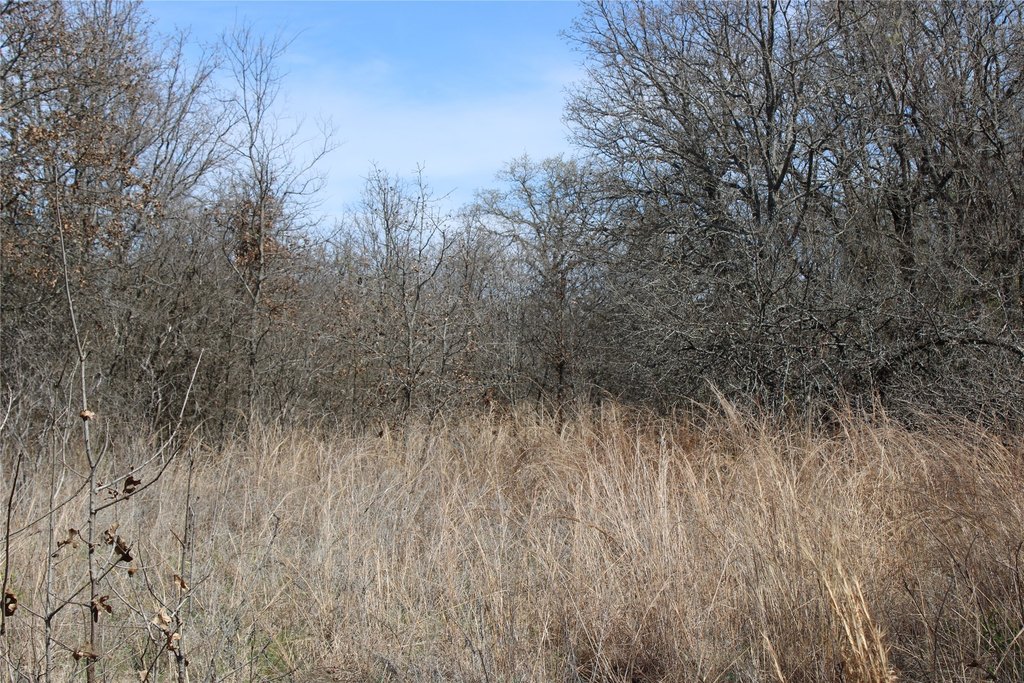 Picture 3