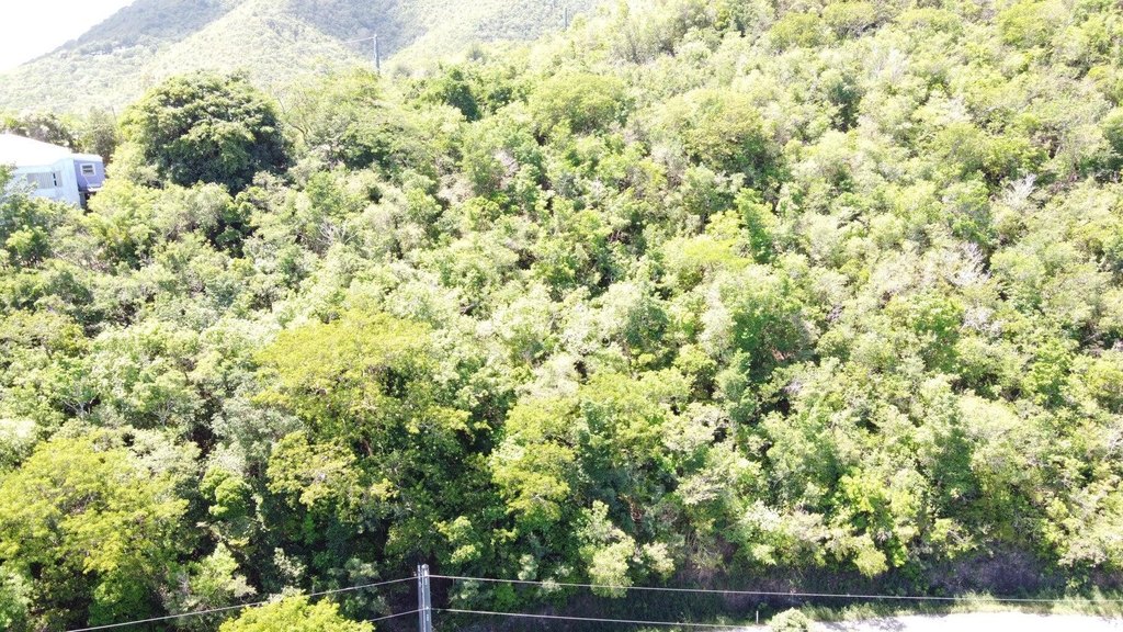 Picture 13