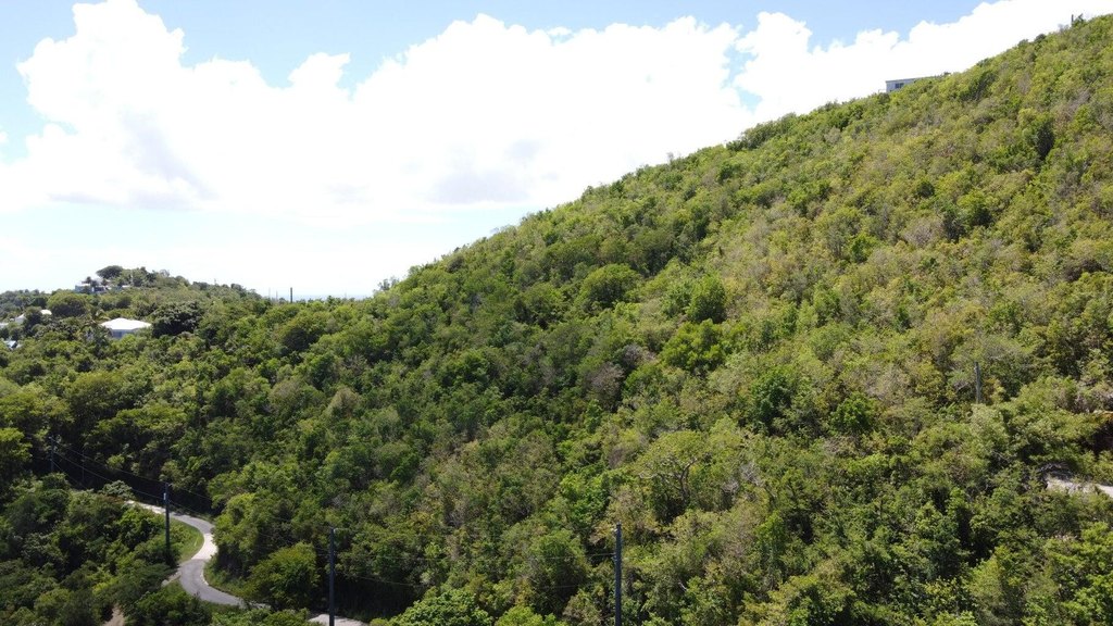 Picture 18