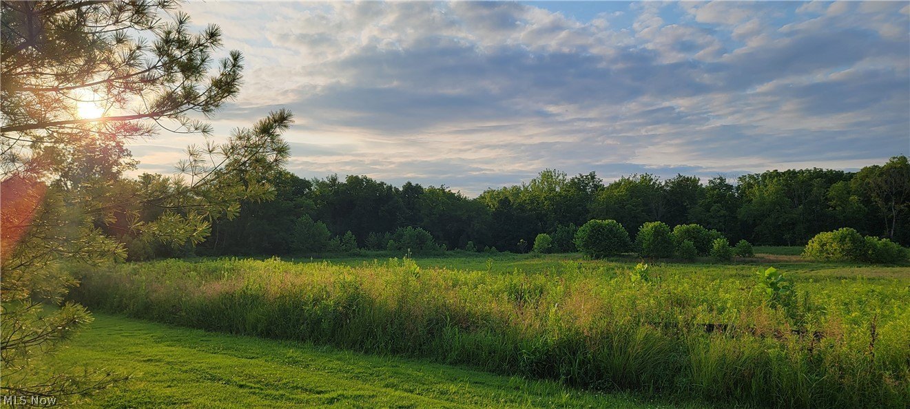Premium Homesite with Protected Backdrop