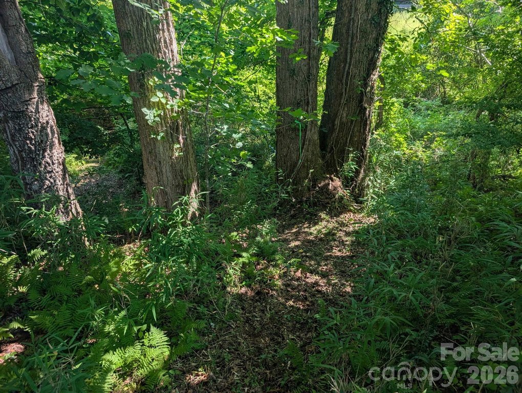 Picture 39
