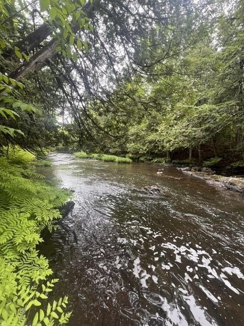 Picture 25