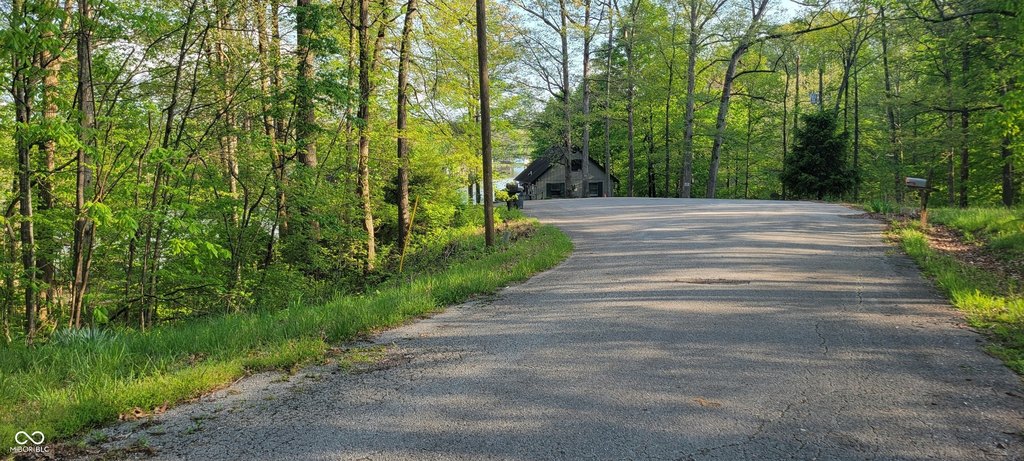 Picture 4