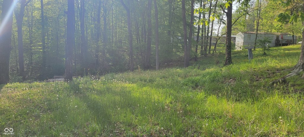 Picture 6