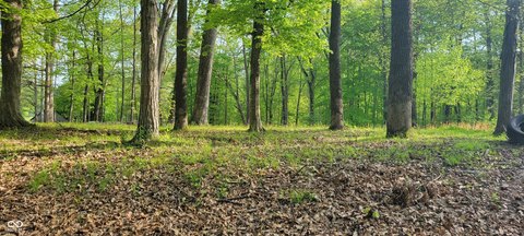 Residential Lots in North Vernon