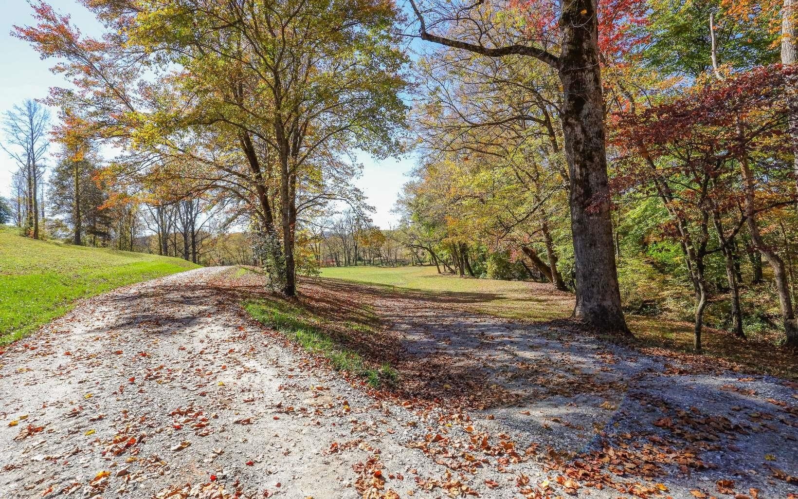 Hayesville Land with River Access